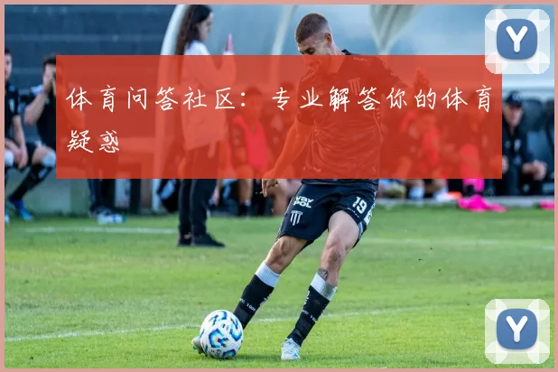 体育问答社区：专业解答你的体育疑惑