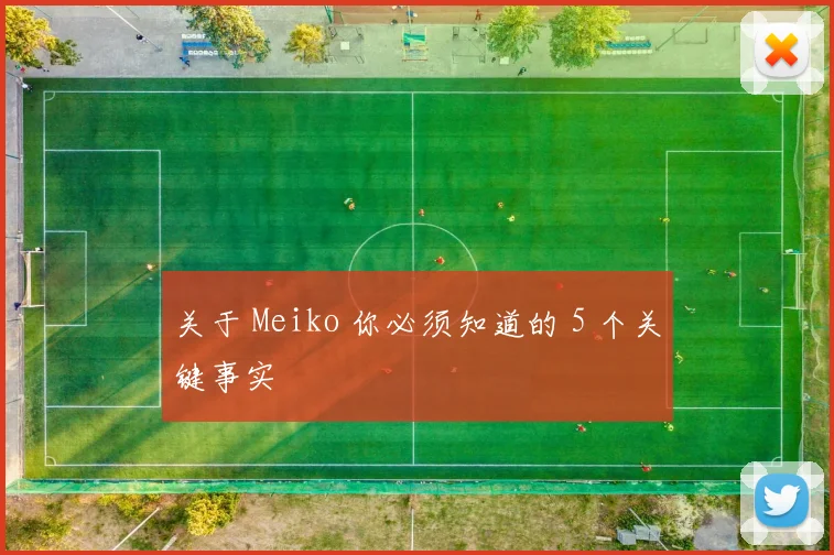 关于 Meiko 你必须知道的 5 个关键事实
